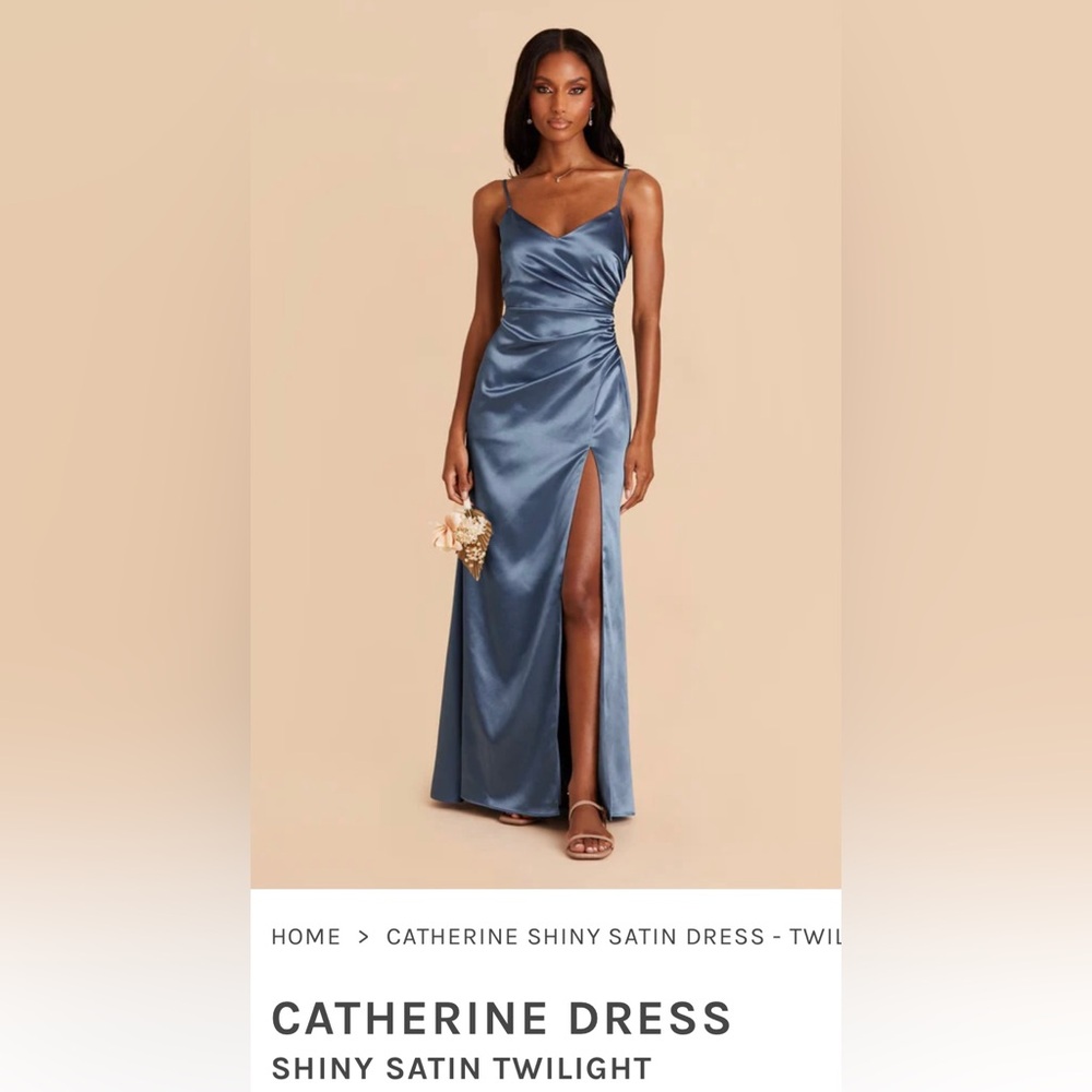 Birdy Grey Catherine Shiny Satin Twilight size S